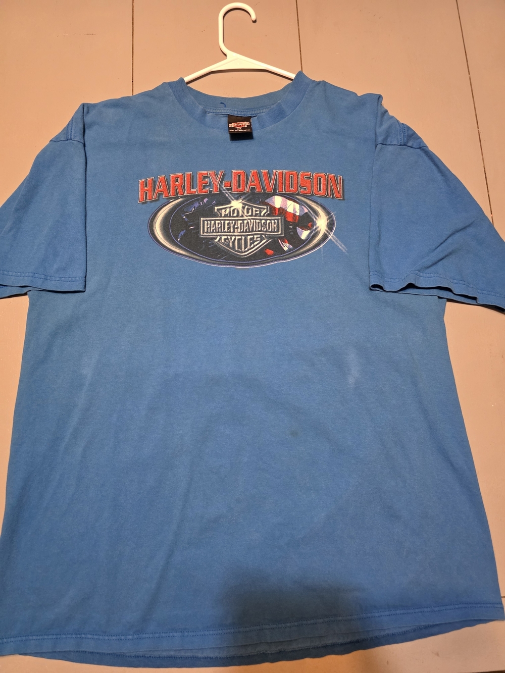 Harley-Davidson Men's Blue Logo Graphic Tee